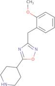 4-{3-[(2-Methoxyphenyl)methyl]-1,2,4-oxadiazol-5-yl}piperidine