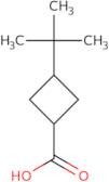 3-tert-Butylcyclobutane-1-carboxylic acid