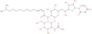 Tunicamycin V