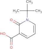 1-tert-Butyl-2-oxo-1,2-dihydropyridine-3-carboxylic acid