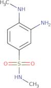3-Amino-N-methyl-4-(methylamino)benzenesulfonamide