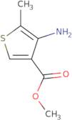 4-amino-5-methylthiophene-3-carboxylic acid