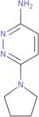 3-Amino-6-(pyrrolidino)pyridazine