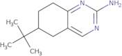 6-tert-Butyl-5,6,7,8-tetrahydroquinazolin-2-amine