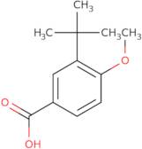 3-tert-Butyl-4-methoxybenzoic acid