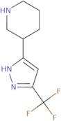 3-[5-(Trifluoromethyl)-1H-pyrazol-3-yl]piperidine