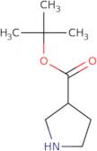 tert-Butyl pyrrolidine-3-carboxylate