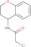 2-Chloro-N-(3,4-dihydro-2H-1-benzopyran-4-yl)acetamide