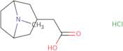 2-{8-Methyl-8-azabicyclo[3.2.1]octan-3-yl}acetic acid hydrochloride