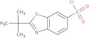 2-tert-Butyl-1,3-benzothiazole-6-sulfonyl chloride