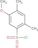 5-Methoxy-2,4-dimethylbenzene-1-sulfonyl chloride