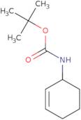 tert-Butyl cyclohex-2-en-1-ylcarbamate