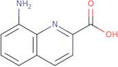 8-Aminoquinoline-2-carboxylic acid