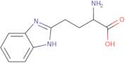2-Amino-4-(1H-benzoimidazol-2-yl)-butyric acid