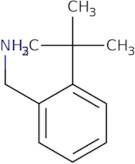 (2-(tert-Butyl)phenyl)methanamine