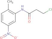 3-Chloro-N-(2-methyl-5-nitrophenyl)propanamide