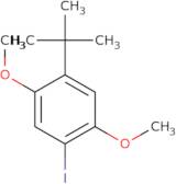 1-(1,1-Dimethylethyl)-4-iodo-2,5-dimethoxy-benzene-d6