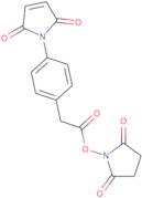 4-Maleimidophenylacetic acid N-hydroxysuccinimide ester