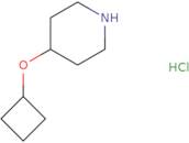 4-Cyclobutoxypiperidine Hydrochloride