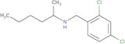 [(2,4-Dichlorophenyl)methyl](hexan-2-yl)amine