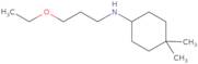 N-(3-Ethoxypropyl)-4,4-dimethylcyclohexan-1-amine