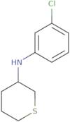 N-(3-Chlorophenyl)thian-3-amine