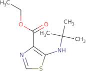 Ethyl 5-(Tert-Butylamino)Thiazole-4-Carboxylate