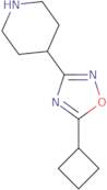 4-(5-Cyclobutyl-1,2,4-oxadiazol-3-yl)piperidine
