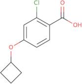 2-Chloro-4-cyclobutoxybenzoic acid