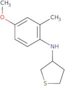 N-(4-Methoxy-2-methylphenyl)thiolan-3-amine