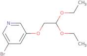 3-(2,2-Diethoxyethoxy)-5-bromopyridine