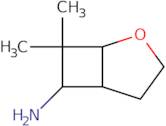 7,7-Dimethyl-2-oxabicyclo[3.2.0]heptan-6-amine