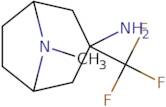 8-Methyl-3-(trifluoromethyl)-8-azabicyclo[3.2.1]octan-3-amine