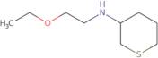 N-(2-Ethoxyethyl)thian-3-amine