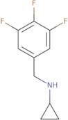 N-[(3,4,5-Trifluorophenyl)methyl]cyclopropanamine