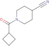 1-Cyclobutanecarbonylpiperidine-4-carbonitrile