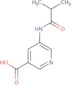 5-(2-Methylpropanamido)pyridine-3-carboxylic acid