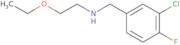 [(3-Chloro-4-fluorophenyl)methyl](2-ethoxyethyl)amine