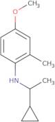 N-(1-Cyclopropylethyl)-4-methoxy-2-methylaniline