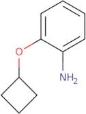 2-Cyclobutoxy-phenylamine