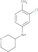 N-(3-Chloro-4-methylphenyl)thian-3-amine