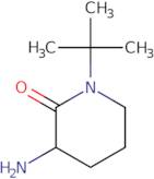 3-Amino-1-tert-butylpiperidin-2-one