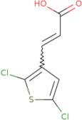 (2E)-3-(2,5-Dichlorothiophen-3-yl)prop-2-enoic acid