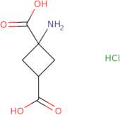 1-Aminocyclobutane-1,3-dicarboxylic acid hydrochloride