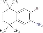 3-Bromo-5,5,8,8-tetramethyl-5,6,7,8-tetrahydronaphthalen-2-amine