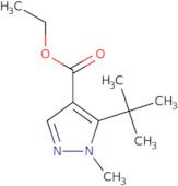Ethyl 5-tert-butyl-1-methyl-1H-pyrazole-4-carboxylate