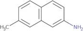 7-Methylnaphthalen-2-amine