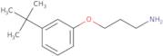 3-(3-tert-Butylphenoxy)propan-1-amine