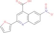 2-(Furan-2-yl)-6-nitroquinoline-4-carboxylicacid