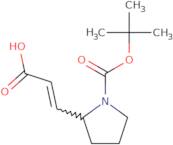 (2E)-3-{1-[(tert-Butoxy)carbonyl]pyrrolidin-2-yl}prop-2-enoic acid